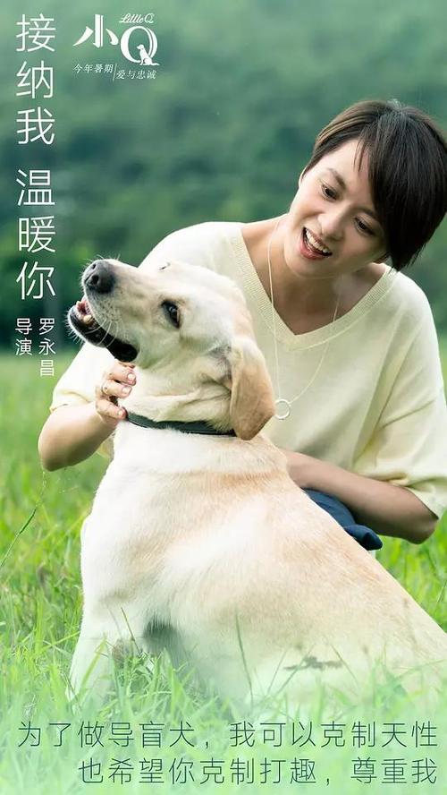 怎么做假布鲁克波特学院文凭毕业证